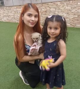 Criadero Pomerania medellin clientes