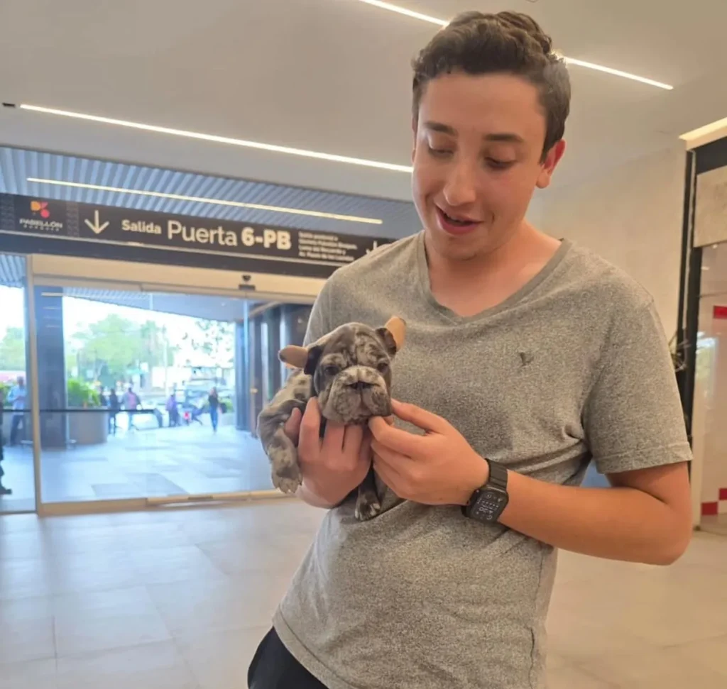 Cliente feliz con su Bulldog Francés blue merle