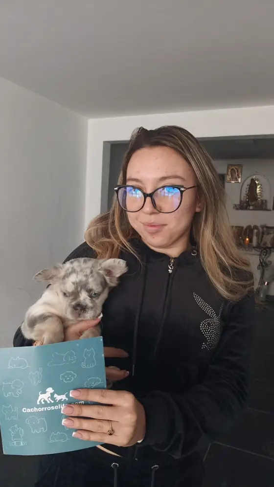 Clienta feliz con su cachorro Bulldog Francés fluffy blue merle y la guía de cuidados de Cachorros Élite