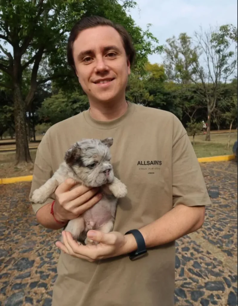 Cliente feliz con su Bulldog Francés fluffy merle en el parque