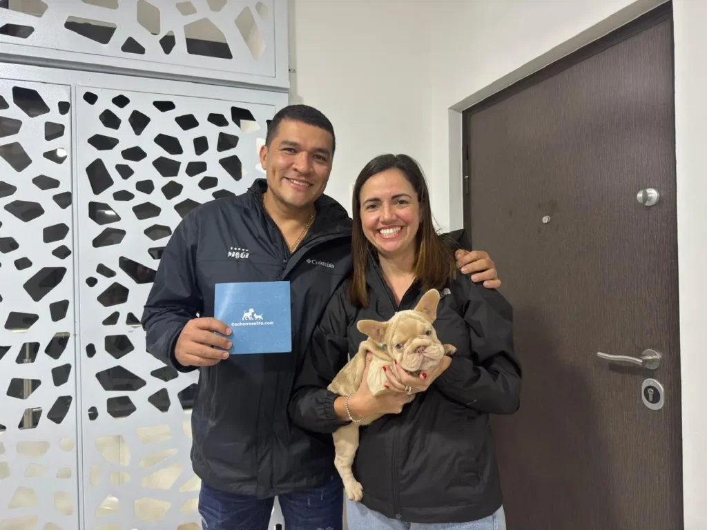 Pareja feliz recibiendo su cachorro Bulldog Francés fluffy