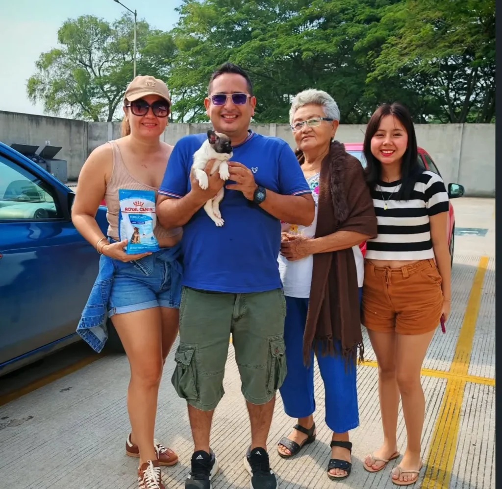 Familia feliz recibiendo su cachorro Bulldog Francés pied