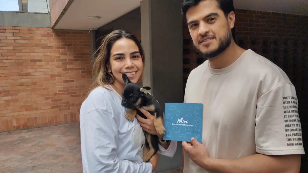 Pareja feliz con su Bulldog Francés black and tan y la guía de Cachorros Élite